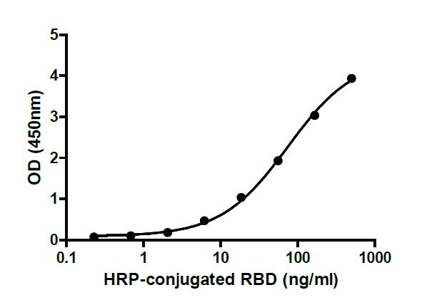 Binding ability measured in a functional ELISA. 2019-nCoV RBD (L452R, T478K) binds to immobilized human ACE2 (19-740) protein.